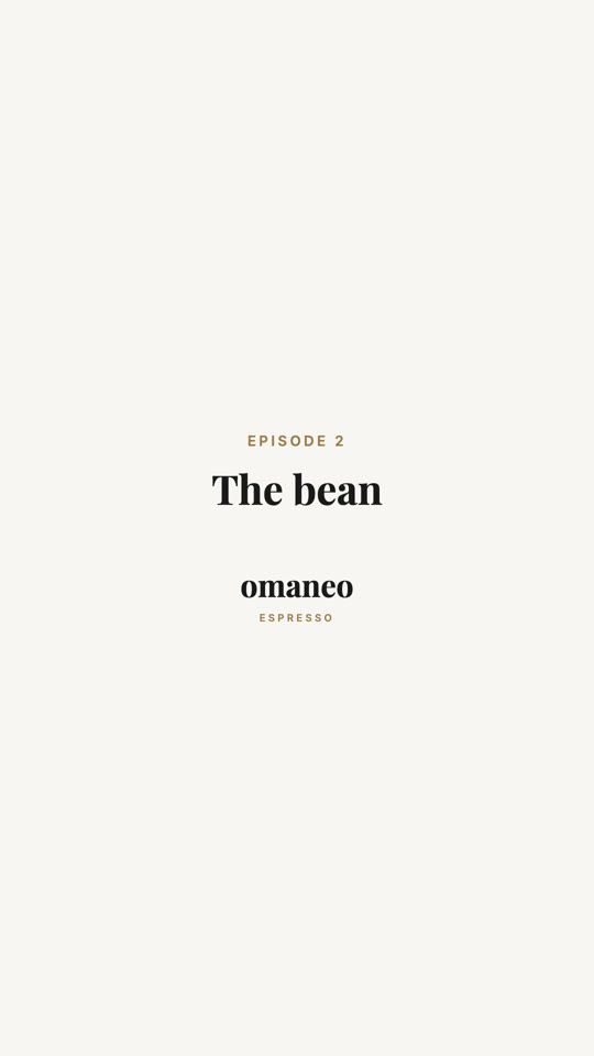 Episode 2: The bean