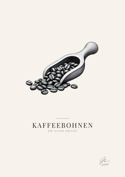 Poster · Kaffeebohnen (Zeichnung)