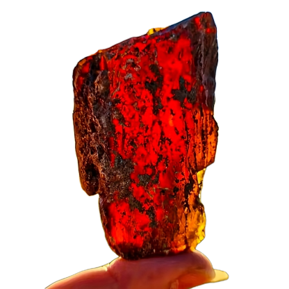 Bernstein · Trommelsteine, 280–300 g